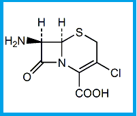 CEFACLOR EP IMPURITY B